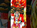 Download Lagu गोवर्धन पुजा Status|| Raut Nacha || New Status Video || #cgshorts #cgstatussong #shorts
