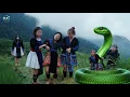 Download Lagu Nkauj Nab Dawb - part 39 - With snake song // Hmoob film