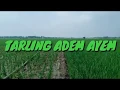 Download Lagu Tarling adem ayem
