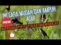 Download Lagu CARA MUDAH MENGUSIR BURUNG PIPIT/EMPRIT PADI BEBAS HAMA BURUNG PETANI TINGGAL DUDUK MANIS DI GUBUK