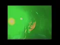 Shed Seven - The Heroes - Live London 1998