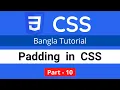 padding how to add padding in CSS CSS3 Bangla tutorial 010