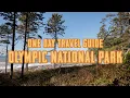 How to Spend One Day in Olympic National Park
