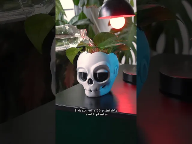 Skull planter video thumbnail