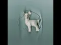 i wait, i sink - The Healing Power of Horses