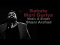 Download Lagu Shani Arshad | Babula | Meri Guriya OST (Without Dialogues)