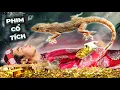 Download Lagu 𝐓𝐨𝐧𝐲 | Phim Cổ Tích THẠCH SÙNG 🦎 Trọn Bộ