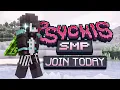 This Minecraft SMP Needs YOU Applications Open