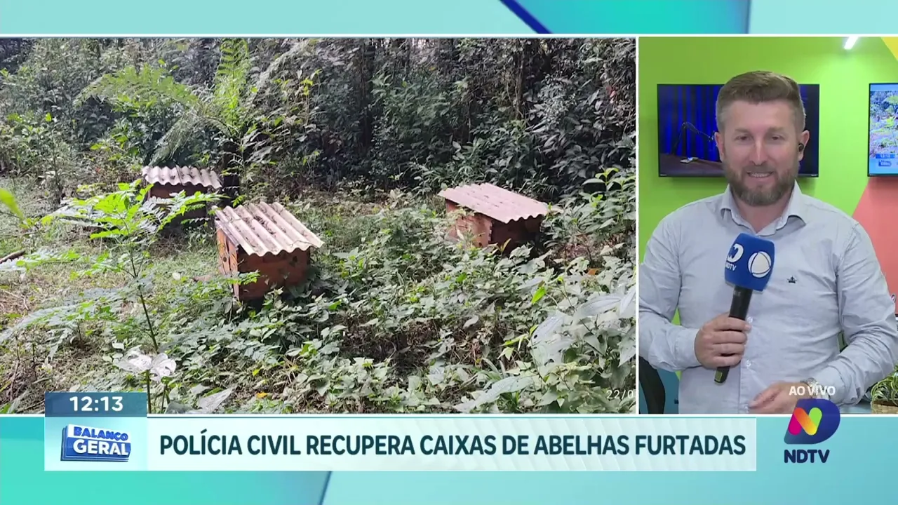 Roubo Inusitado: Polícia Recupera 13 Caixas de Abelhas em Ponte Serrada!