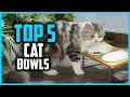 Top 5 Best Cat Bowls of 2025
