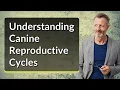 Understanding Canine Reproductive Cycles
