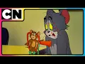 Download Lagu Tom and Jerry 😺🐭| Zero Peace, Pure Laughter!🤪| Best Animations😆| @cnindia