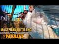 Download Lagu kutilang gacor TARUNG buat pancingan kutilang agar bunyi jadikan burung kutilang gacor