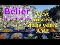 Lagu BELIER ~ un imprévu inscrit dans votre âme ~ En ce moment