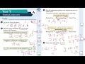Year 9 Testing Conjectures