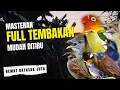 Download Lagu Masteran Murai Full Tembakan Lengkap #masteranmuraibatu #masteranmuraifullisian