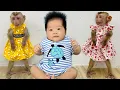 Download Lagu Diana monkey and baby wearing beautiful new clothes