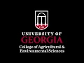 CAES Convocation Fall 2024