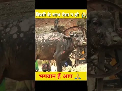 किसी के साथ ऐसा ना हो 🙏🏻 #facts #shorts #viralshorts #viral #facts