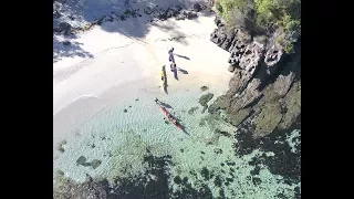 A “Day off the Mold” and a “Day on the Tools” ( Sea Kayaking with Whales).