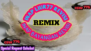 Download SUARA INAP WALET YANG SUDAH TERUJI DAN TERBUKTI SANGAT CEPAT MENGINAPKAN BURUNG WALET MP3