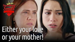 either your love or your mother strawberry smell english subtitles cilek kokusu