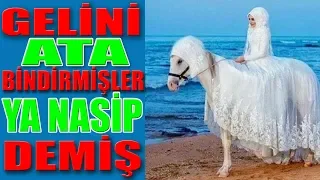 Download Gelini Ata Bindirmişler Ya Nasip Demiş Muhteşem Bir Hikaye MP3