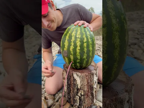 ✅ The Guy Shows SURVIVAL Skills: I Fixed a Watermelon in the Forest with my own hands 🍉🧤
