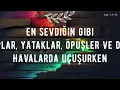 Can Koç - Gökyüzünü Tutamam (Sözleri/Lyrics) 🎵 Top Türkçe Pop Şarkıları