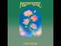 I HAD A FEELING - Raleigh Ritchie