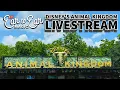 Download Lagu 🔴 LIVE - Disney's Animal Kingdom - Walt Disney World Livestream 27-06-2025