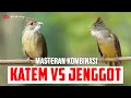 Download Lagu MASTERAN KAPAS TEMBAK VS CUCAK JENGGOT ESETAN PALING EDAN