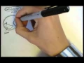 Immunology - Innate Immunity PAMP and PRR