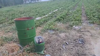 BUGUNLIK KUNDA QILAYOTGAN ISHLARIMIZ 04.07.2026