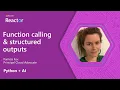 Python AI Function calling structured outputs