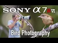 Sony A7RVI Bird Photography 200-600mm Lens