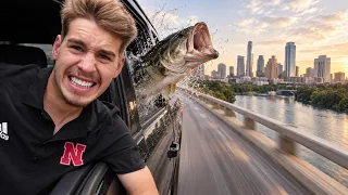 I Moved My Pet Bass Across The Country
