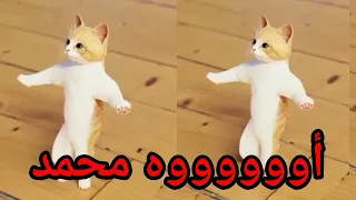  اغنية محمد الزين  محمد   سطلانة السعودية الكويت الامارات قطر عمان البحرين تركيا الجزائر  دندنها