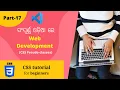 CSS Pseudo Classes CSS Tutorials for Beginners in Odia Part-17 MS Info Systems
