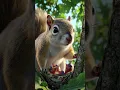Download Lagu aik kabotri ki Kahani  #shorts #cartoon #animatedstories #shortvideo