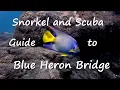 Snorkel and Scuba Guide to Blue Heron Bridge