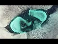 Pills Dissolve