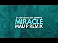 Calvin Harris & Ellie Goulding - Miracle (Mau P Remix)