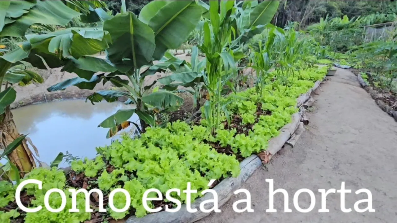 Colheita