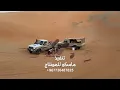 ربيع اليامي 2022 - مشتاق لعيانه ، شيلة طرب - حصريآ