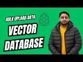 How To Upload Bulk Data To Vector Database JSON to Pinecone with Python OpenAI