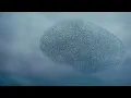 Fabrizio Paterlini  -  Waltz