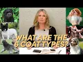 What Are The Six Coat Types