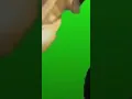 Download Lagu yo yo yoo green screen (cropped)