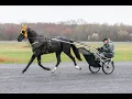 2025 USTrotting Top Contenders -